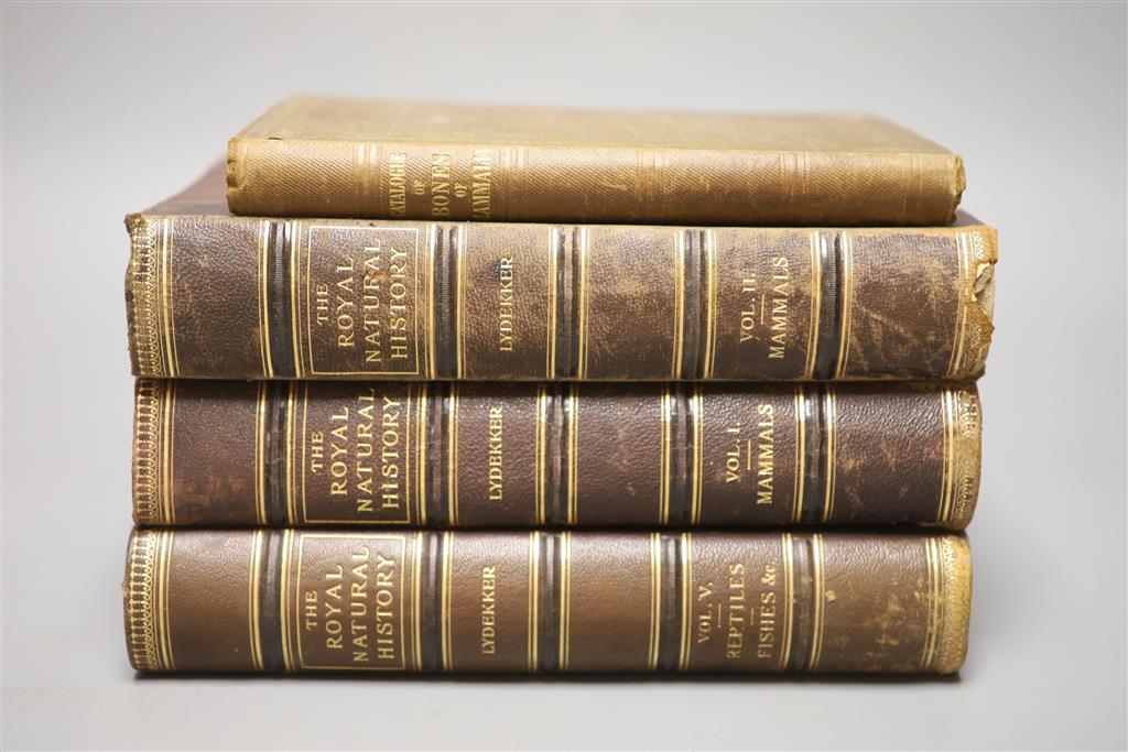 Edward Gerrard; Catalogue of the bones of Mammalia in the collection of the British museum, British Museum (Natural History). Departmen